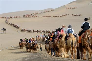 A Chinese village famous for running camel treks in the heart of the desert